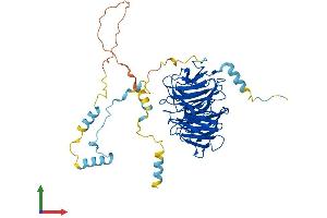 Protein Structure (PS) image for Cell Division Cycle 20 Homolog (S. Cerevisiae) (CDC20) (AA 1-499) protein (His tag) (ABIN7553222)