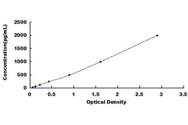 Olfactomedin 4 ELISA 试剂盒