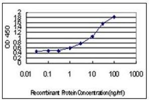 ELISA image for anti-Interferon Regulatory Factor 4 (IRF4) (AA 342-452) antibody (ABIN614626) (IRF4 抗体  (AA 342-452))