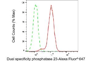 Flow cytometric analysis of Dual specificity phosphatase 23 expression in A549 cells using Dual specificity phosphatase 23 antibody (ABIN7798390), 1:1,000). (DUSP23 抗体)