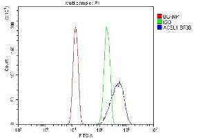 anti-Acyl-CoA Synthetase Long-Chain Family Member 1 (Acsl1) (AA 604-698) antibody