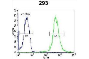 Flow Cytometry (FACS) image for anti-WD Repeat Domain 48 (WDR48) antibody (ABIN2995679)