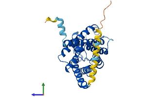 Protein Structure (PS) image for Aquaporin 7 (AQP7) (AA 1-303) protein (His tag) (ABIN7562416)
