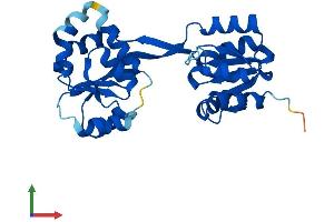 Protein Structure (PS) image for Uroporphyrinogen III Synthase (UROS) (AA 1-265) protein (His tag) (ABIN7548291)