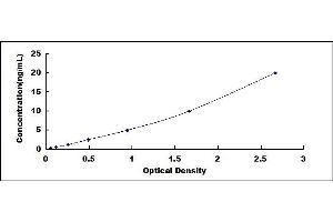 Typical standard curve (CRHR2 ELISA 试剂盒)