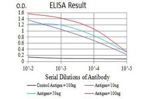 Black line: Control Antigen (100 ng),Purple line: Antigen (10 ng), Blue line: Antigen (50 ng), Red line:Antigen (100 ng) (HAVCR1 抗体  (AA 70-290))