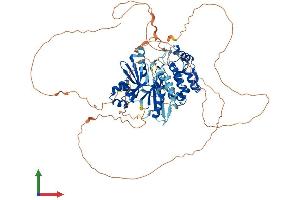 Protein Structure (PS) image for MAP/microtubule Affinity-Regulating Kinase 4 (MARK4) (AA 1-752) protein (His tag) (ABIN7554503)