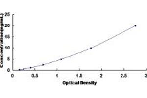 Typical standard curve (PTPRJ ELISA 试剂盒)