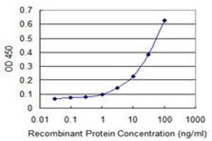 Detection limit for recombinant GST tagged FBXL21 is 1 ng/ml as a capture antibody. (FBXL21 抗体  (AA 167-276))