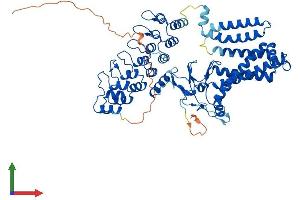 Protein Structure (PS) image for Zinc Finger, DHHC-Type Containing 17 (ZDHHC17) (AA 1-632) protein (His tag) (ABIN7556128)