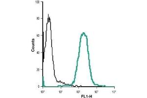 Cell surface detection of VPAC1 in live intact Jurkat (human T cell leukemia cells) cell line: (black line) Cells + goat-anti-rabbit-DyLight-488. (VIPR1 抗体  (Extracellular))