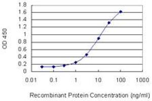 Detection limit for recombinant GST tagged HRH3 is 0. (HRH3 抗体  (AA 257-359))