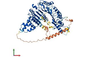 AlphaFold protein structure predicition of Human Recombinant FBXO33 Protein, UniprotID Q7Z6M2