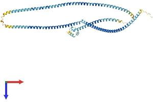 MNS1 Protein (AA 1-491) (His tag)