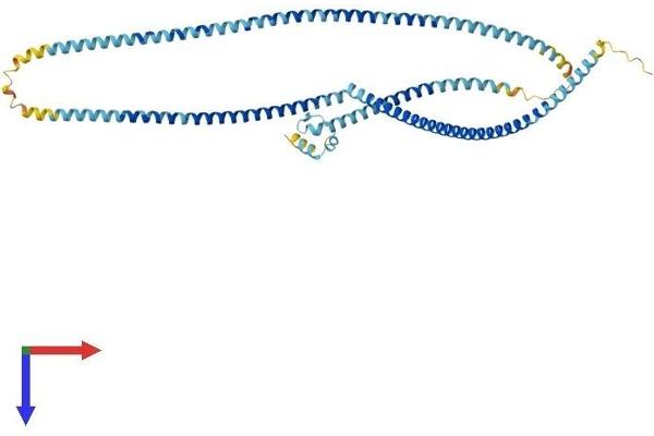MNS1 Protein (AA 1-491) (His tag)