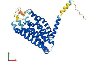 AlphaFold protein structure predicition of Mouse Recombinant Ffar3 Protein, UniprotID Q3UFD7