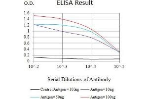 Black line: Control Antigen (100 ng),Purple line: Antigen (10 ng), Blue line: Antigen (50 ng), Red line:Antigen (100 ng) (BAX 抗体)