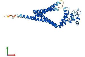 Protein Structure (PS) image for Tetraspanin 33 (TSPAN33) (AA 1-283) protein (His tag) (ABIN7559746)