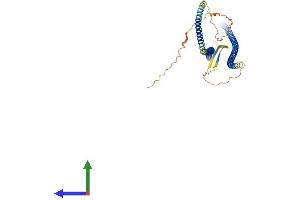 Protein Structure (PS) image for Desmin (DES) (AA 1-469) protein (His tag) (ABIN7563104)