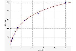 Typical standard curve (ATP6AP2 ELISA 试剂盒)