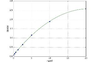A typical standard curve (PDIA4 ELISA 试剂盒)