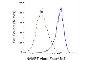 Validation of NAMPT knockdown using flow cytometry. (Recombinant NAMPT 抗体)