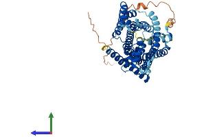 Protein Structure (PS) image for Solute Carrier Family 36 (Proton/amino Acid Symporter), Member 2 (SLC36A2) (AA 1-483) protein (His tag) (ABIN7551627)