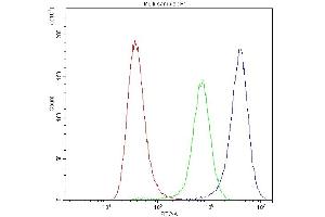 Flow Cytometry analysis of A549 cells using anti-Synaptotagmin 1 antibody (ABIN5692948).