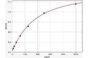 Typical standard curve (KLHL17 ELISA 试剂盒)