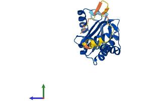 Protein Structure (PS) image for Adaptor-Related Protein Complex 3, sigma 1 Subunit (AP3S1) (AA 1-193) protein (His tag) (ABIN7552293)