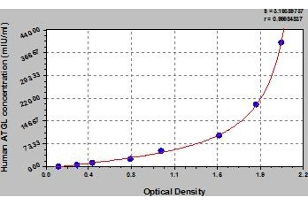 PNPLA2 ELISA 试剂盒