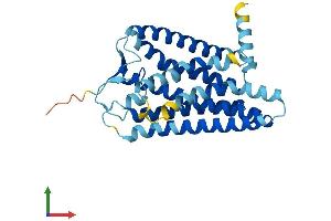 Protein Structure (PS) image for Olfactory Receptor, Family 5, Subfamily P, Member 3 (OR5P3) (AA 1-311) protein (His tag) (ABIN7550179)