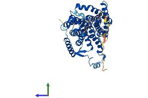 Protein Structure (PS) image for Rh Family C Glycoprotein (RHCG) (AA 1-479) protein (His tag) (ABIN7551398)