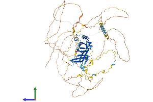 AlphaFold protein structure predicition of Human Recombinant PWWP2A Protein, UniprotID Q96N64 (PWWP2A Protein (AA 1-755) (His tag))