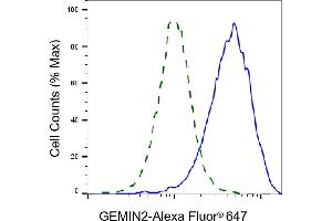 Validation of GEMIN2 knockdown using flow cytometry.