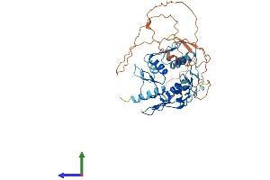 Protein Structure (PS) image for Zinc Finger Protein 134 (ZNF134) (AA 1-427) protein (His tag) (ABIN7545305)