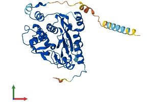 Protein Structure (PS) image for beta-1,3-N-Acetylglucosaminyltransferase 4 (B3GNT4) (AA 1-350) protein (His tag) (ABIN7556998)