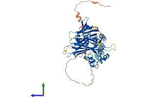 AlphaFold protein structure predicition of Human Recombinant TFCP2L1 Protein, UniprotID Q9NZI6 (TFCP2L1 Protein (AA 1-479) (His tag))