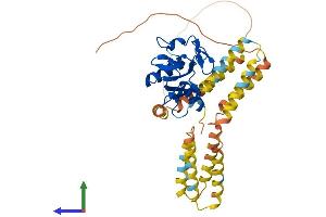 Protein Structure (PS) image for C-Type Lectin Domain Family 4, Member M (CLEC4M) (AA 1-399) protein (His tag) (ABIN7553516)
