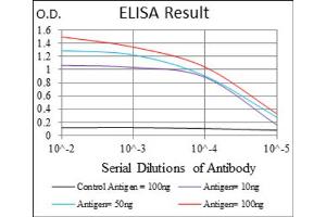 Red: Control Antigen (100ng) ; Purple: Antigen (10ng) ; Green: Antigen (50ng) ; Blue: Antigen (100ng). (ACP5 抗体  (AA 221-325))