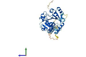 Protein Structure (PS) image for ST6 (Alpha-N-Acetyl-Neuraminyl-2,3-beta-Galactosyl-1,3)-N-Acetylgalactosaminide alpha-2,6-Sialyltransferase 6 (ST6GALNAC6) (AA 1-333) protein (His tag) (ABIN7561698)