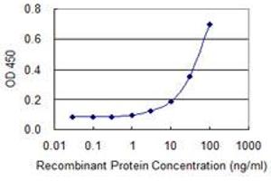 Detection limit for recombinant GST tagged ACRC is 1 ng/ml as a capture antibody. (ACRC 抗体  (AA 592-691))