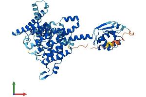 Protein Structure (PS) image for Solute Carrier Family 26, Member 11 (SLC26A11) (AA 1-593) protein (His tag) (ABIN7558451)