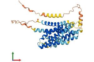 Protein Structure (PS) image for Solute Carrier Family 39 (Zinc Transporter), Member 13 (SLC39A13) (AA 1-371) protein (His tag) (ABIN7551652)