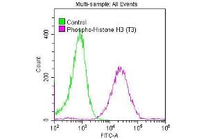 Overlay histogram showing Hela cells stained with ABIN7127311 (red line) at 1:50. (Recombinant Histone H3.3 抗体  (pThr3))