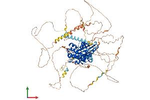 Protein Structure (PS) image for Salt-Inducible Kinase 2 (SIK2) (AA 1-931) protein (His tag) (ABIN7564556)