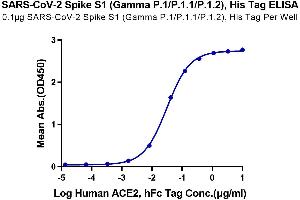 ELISA image for SARS-CoV-2 Spike S1 (P.1 - gamma) protein (His tag) (ABIN7274778)