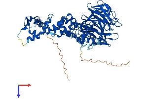 AlphaFold protein structure predicition of Human Recombinant KLHL10 Protein, UniprotID Q6JEL2 (KLHL10 Protein (AA 1-608) (His tag))
