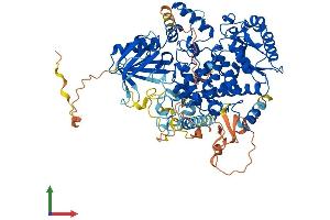 AlphaFold protein structure predicition of Human Recombinant MTMR10 Protein, UniprotID Q9NXD2