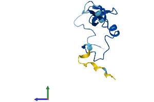 AlphaFold protein structure predicition of Human Recombinant RPS26P11 Protein, UniprotID Q5JNZ5 (RPS26L1 Protein (AA 1-115) (His tag))